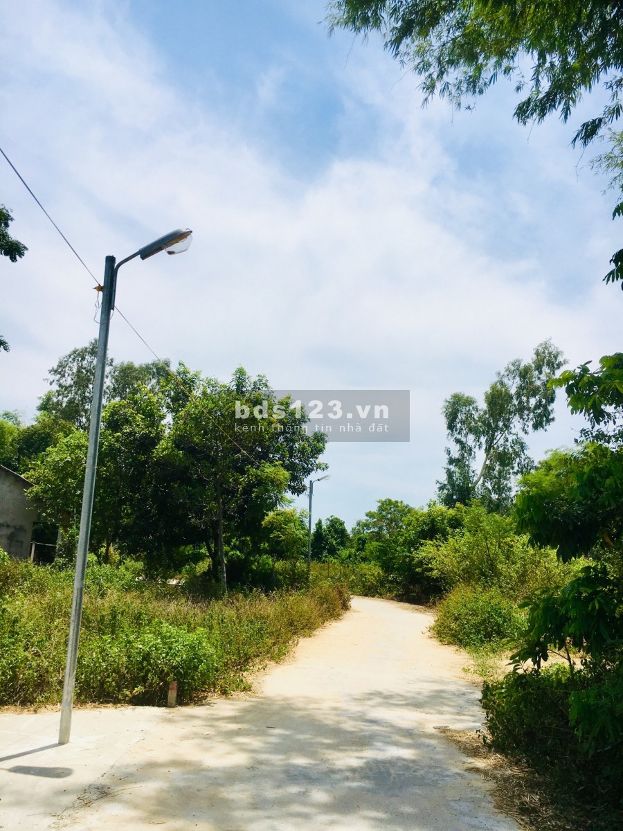 Cầm trong tay 250tr đã mua được đất gần KCN, QL1A, đường 5m, giá hỗ trợ vay