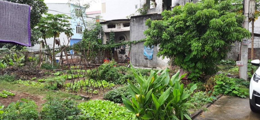 Bán đất thông Nhuế Kim Chung Đông Anh diện tích sử dụng 432m2 liên hệ 0912955504