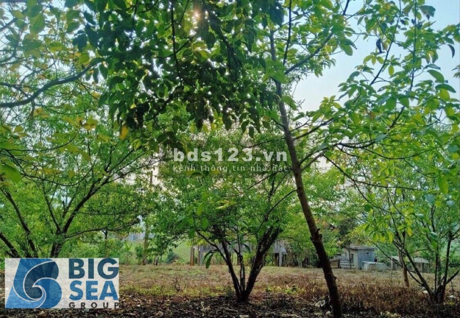 Đất nền Mộc Châu giá rẻ cực kỳ hấp dẫn trong tháng 7/2021, giá thoả thuận chính chủ