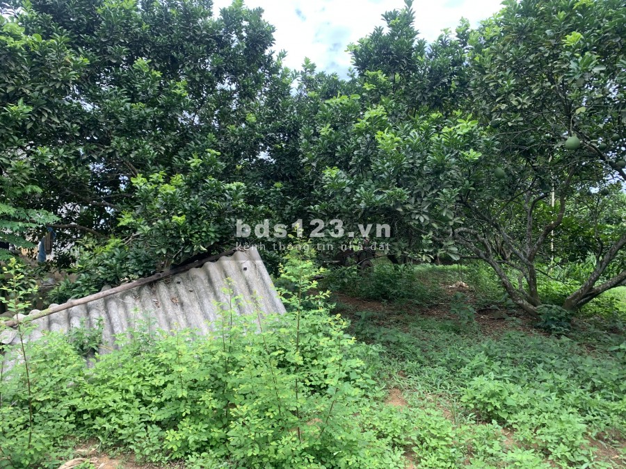 Bán đất Ngọc Mỹ Tân Lạc Hòa Bình giá rẻ cho các nhà đầu tư, sổ chính chủ