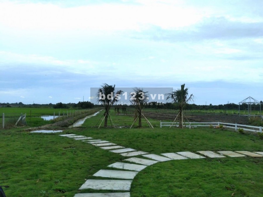 Bán đất giá rẻ sổ hồng riêng chính chủ, giá 1.8 triệu/m2, bao sang tên, huyện Củ Chi, lhcc