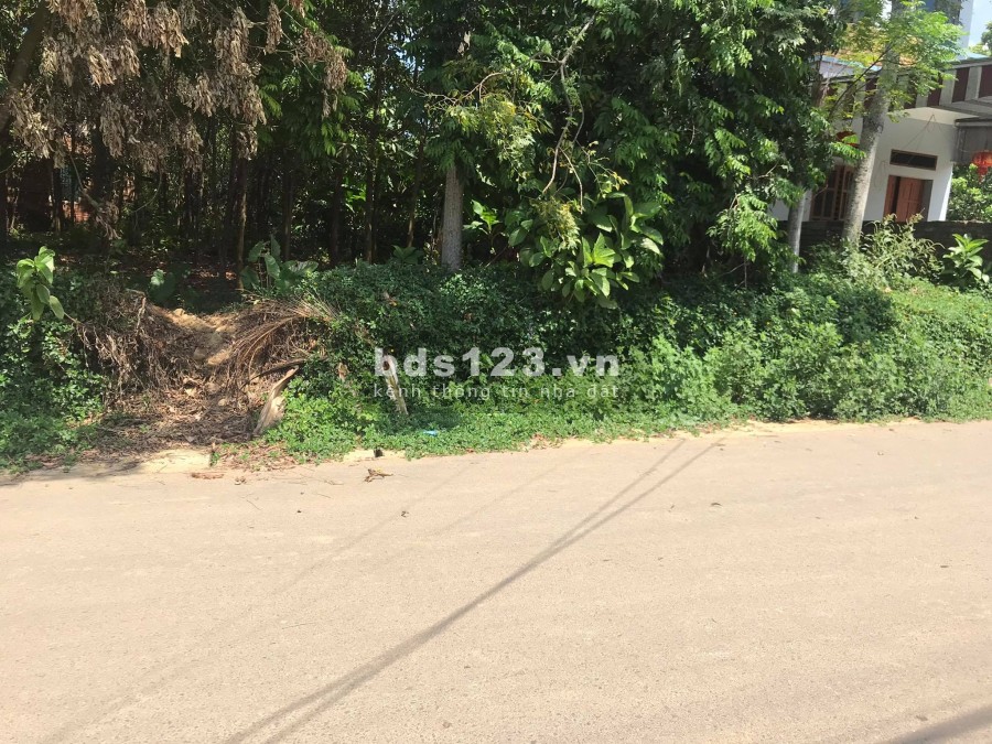 Bán đất xã Hòa Sơn, Lương Sơn, Hòa Bình diện tích 7000m, đất bằng phẳng, sẵn ao
