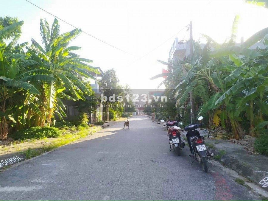Bán đất diện tích sử dụng 101.5m2 tại Tổ 6 thị trấn An Dương Hải Phòng