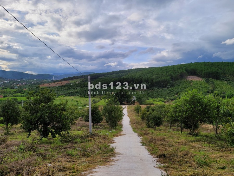 Chính chủ bán đất Gia Lâm Nam Ban, Lâm Hà, đường bê tông có sẵn lh 0919125862