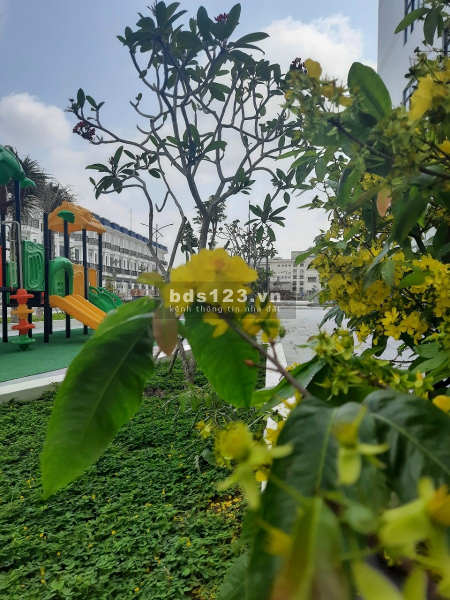 Bán đất nền An Phú quận Cái Răng thành phố Cần Thơ, kiến tạp phong cách mới
