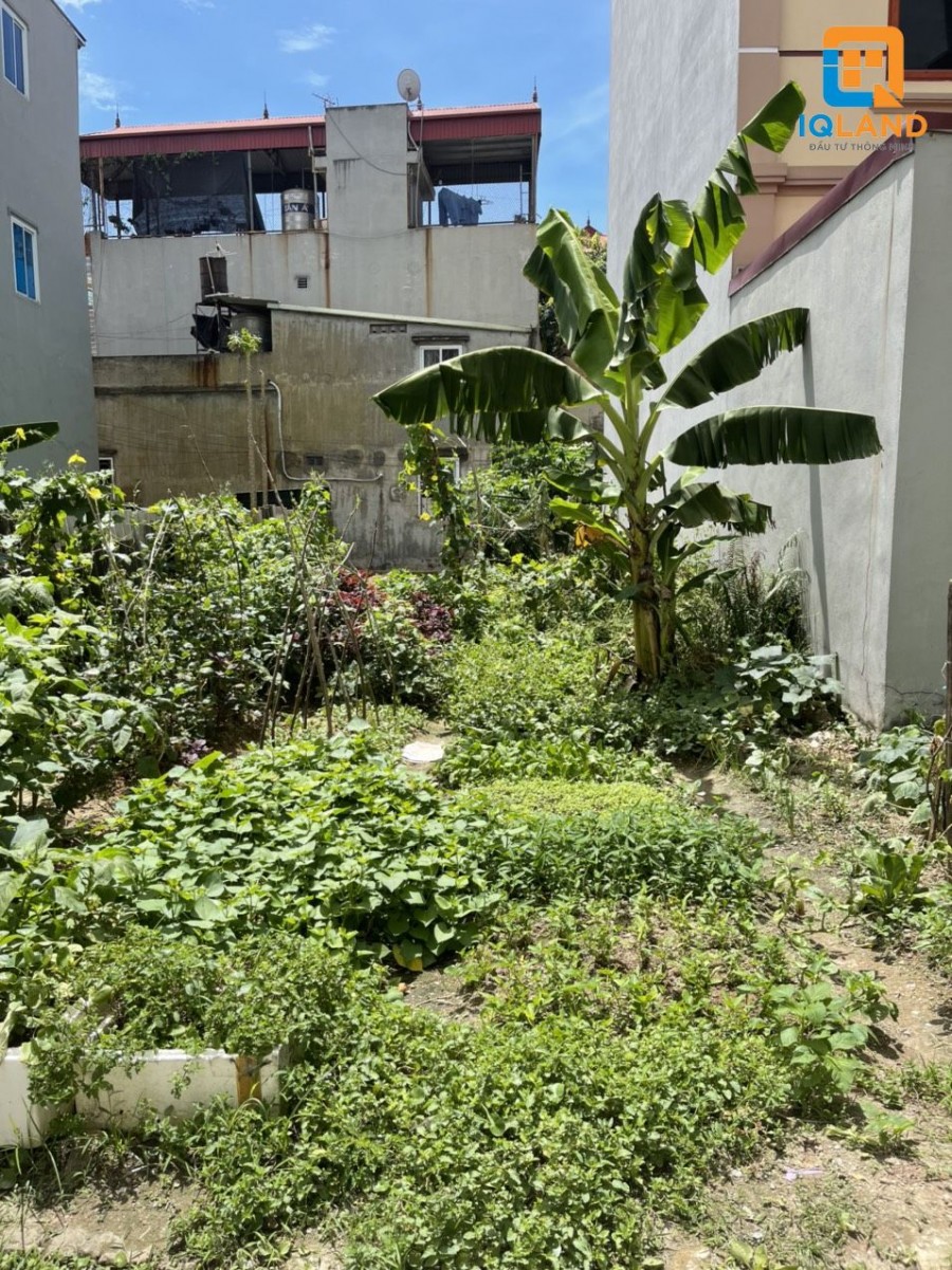 Chính chủ cần bán 93.8m2 tại Tổ 8 Quang Minh huyện Mê Linh - Hà Nội, nở hậu, giá 1.5 tỷ