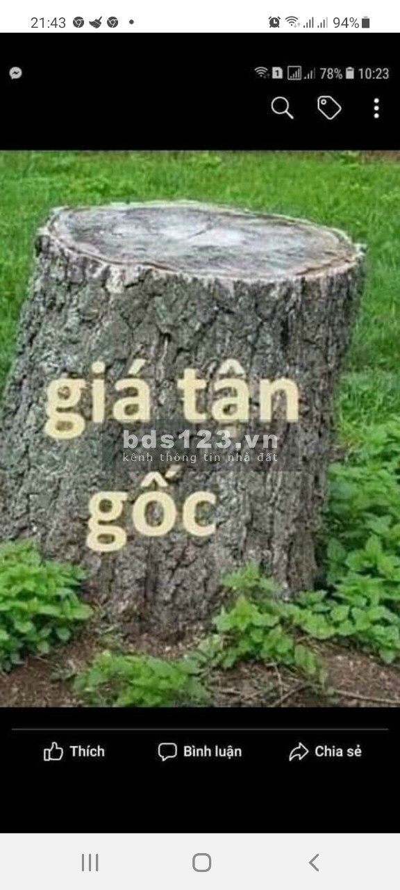 Bán đất trả nở vay gấp mùa dịch diện tích thổ cư 100%, sổ sẵn