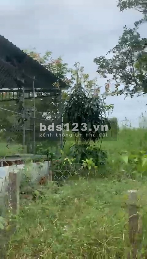 Cần bán lô đất diện tích 90m2 tại Bến Tràm, thành phố Phú Quốc giá chỉ 300tr