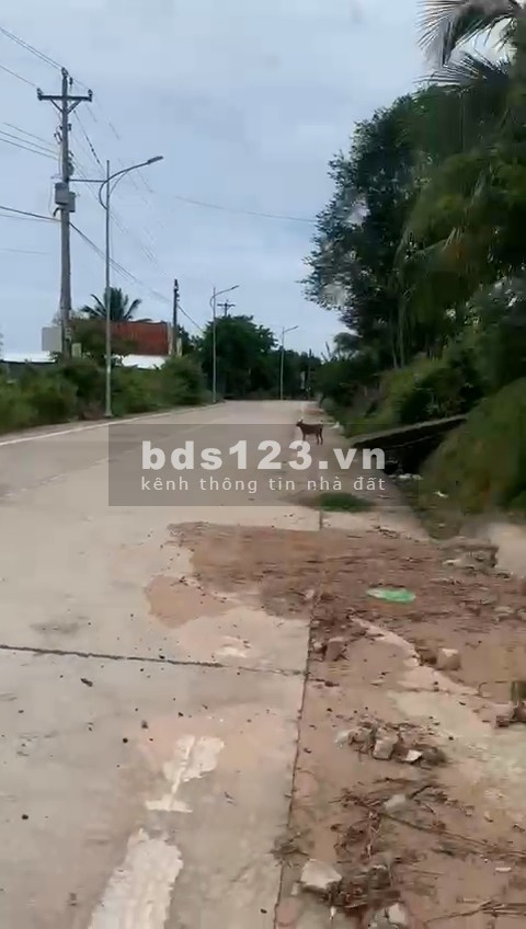 Cần bán lô đất diện tích 90m2 tại Bến Tràm, thành phố Phú Quốc giá chỉ 300tr