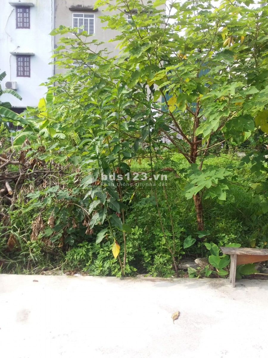 Bán đất đấu giá Bích Hòa - Thanh Oai diện tích 70m2 phân lô, giá bán 2.5 tỷ