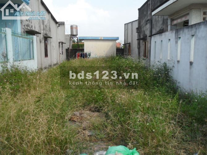 Gia đình thiếu vốn để mở rộng kinh doanh nên cần dãy trọ 300m2 ở Mỹ Phước 3