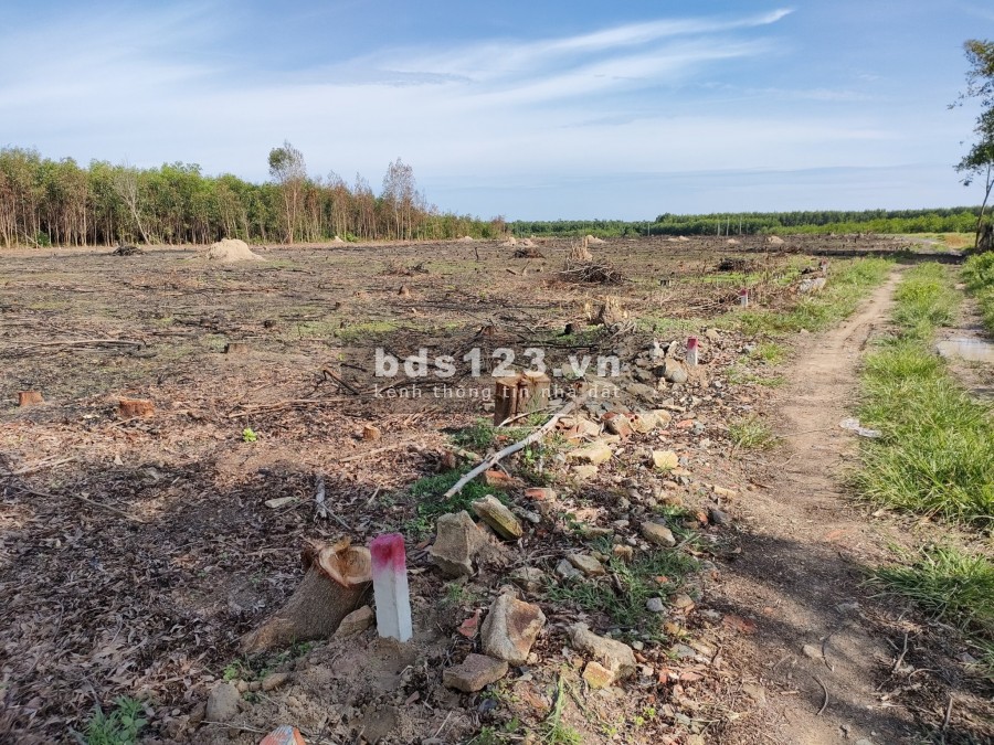 Bán đất Láng Dài, đất đỏ gân sân bay, giá sỉ khu đất 2 mặt tiền đường, giá siêu tốt