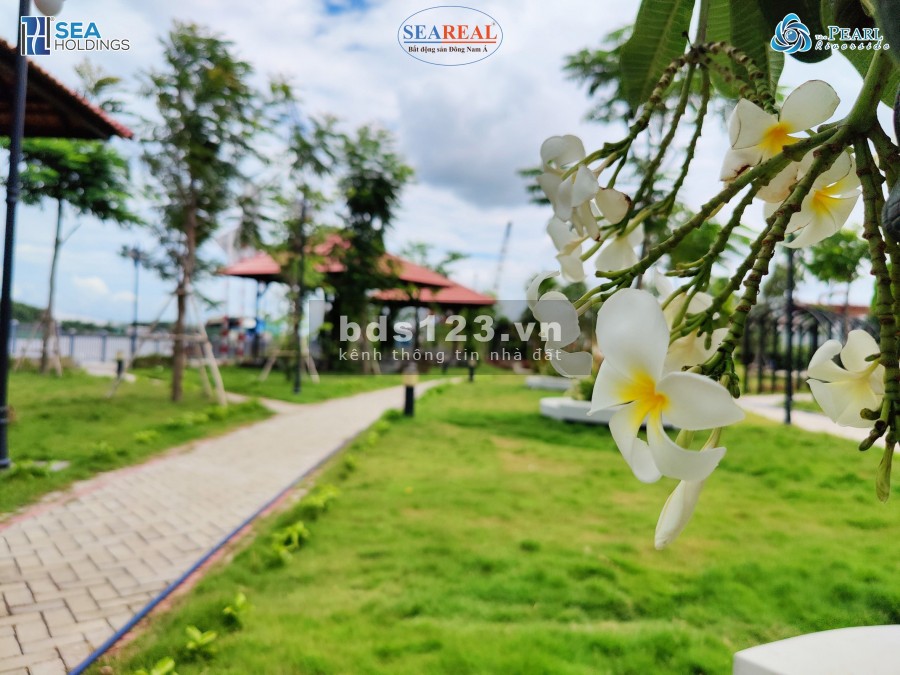 Bán nhà phố The Pearl Rivereside diện tích 175m2 giá 3,3 tỷ/căn, TT Bến Lức, Long An