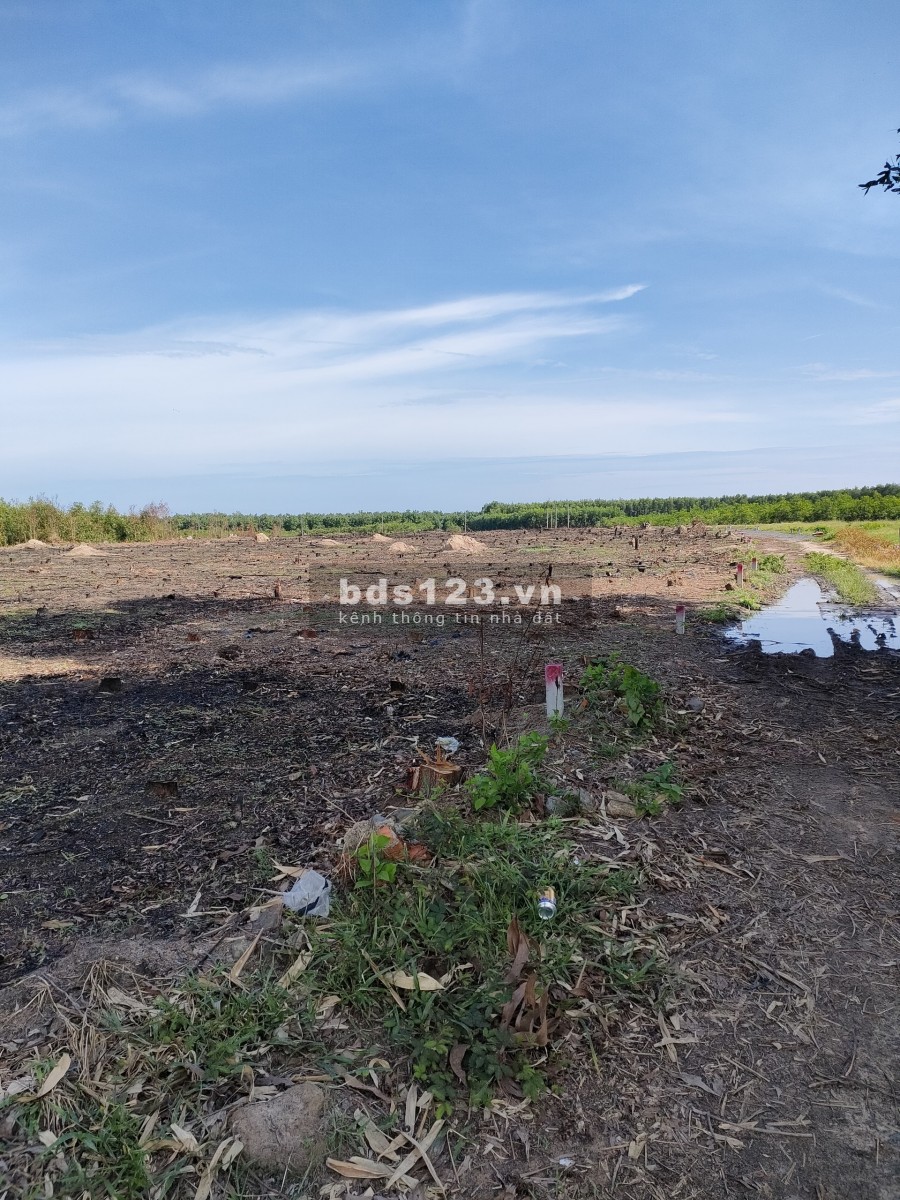 Bán đất Láng Dài, đất đỏ gân sân bay, giá sỉ khu đất 2 mặt tiền đường, giá siêu tốt