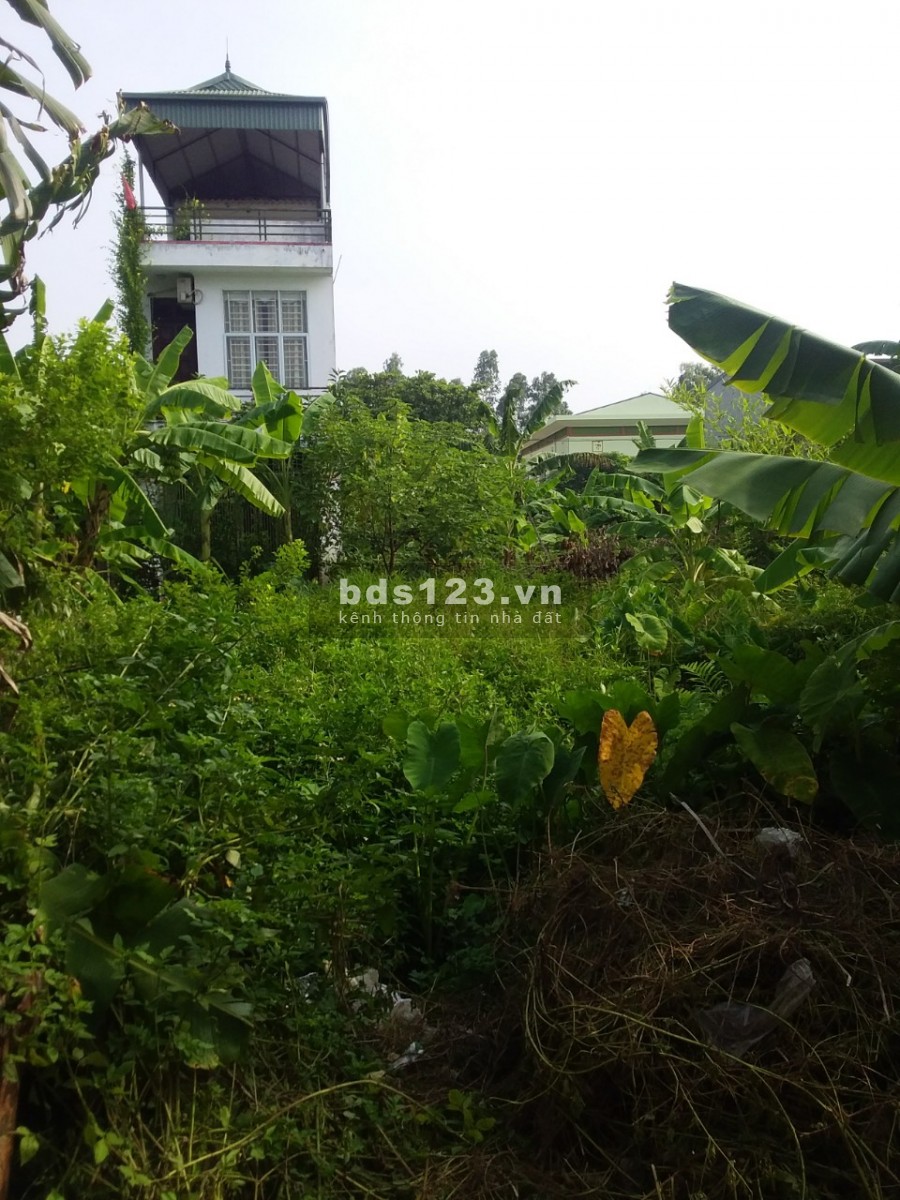 Bán đất đấu giá Bích Hòa - Thanh Oai diện tích 70m2 phân lô, giá bán 2.5 tỷ