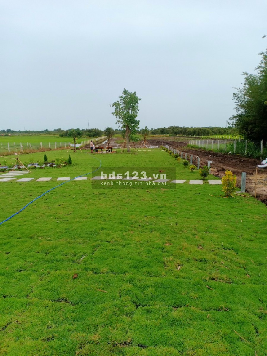 Bán đất vườn chính chủ Thái Mỹ, huyện Củ Chi, sổ riêng có sẵn, bàn giao ngay