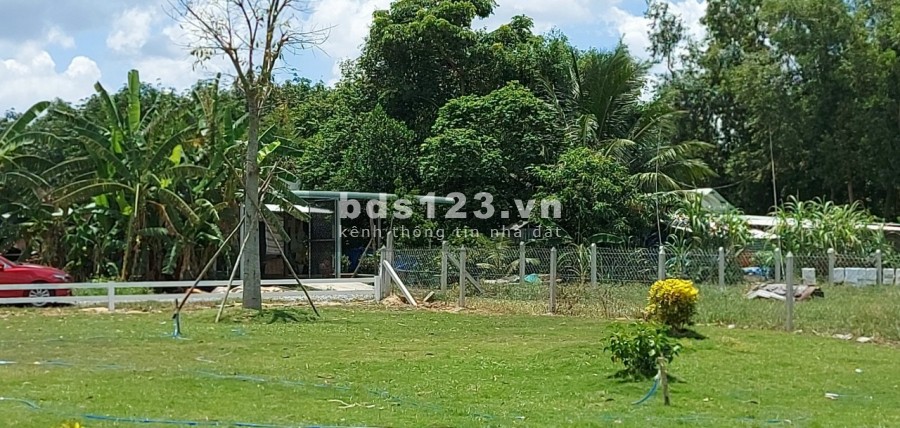 Bán đất vườn chính chủ Thái Mỹ, huyện Củ Chi, sổ riêng có sẵn, bàn giao ngay
