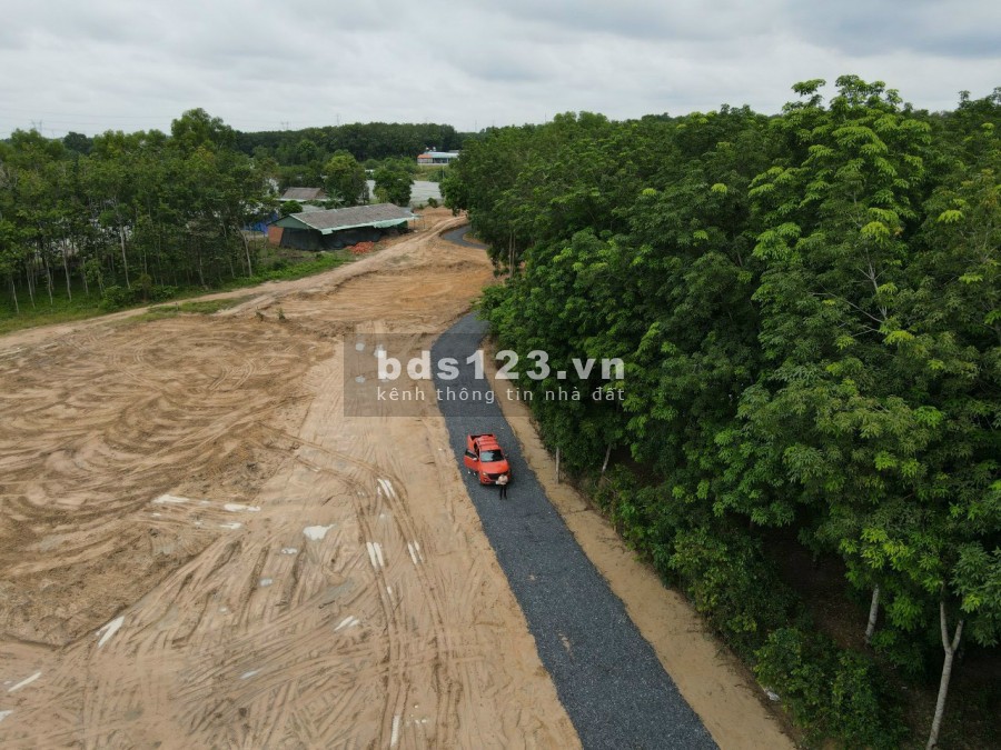 Sang nhượng 2 nền đất Phú Chánh giá gốc, sổ sẵn cầm tay, công chứng liền trong ngày