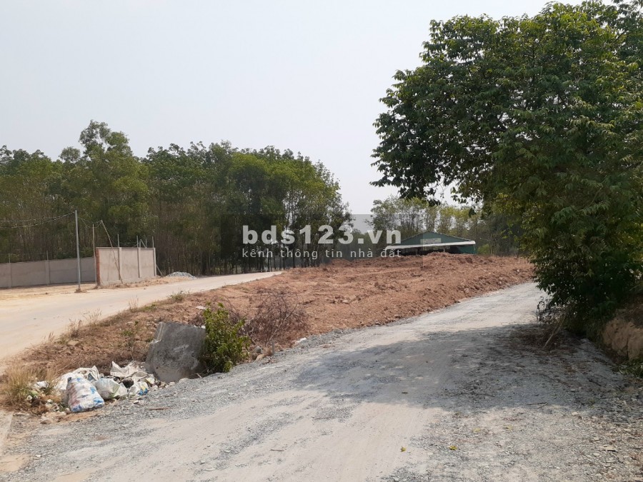 Sang nhượng 2 nền đất Phú Chánh giá gốc, sổ sẵn cầm tay, công chứng liền trong ngày