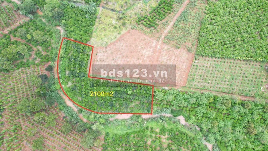 Lô đất giáp suối cách quốc lộ 20 4km phù hợp làm nhà nghỉ dưỡng, giá bán 1.785 tỷ