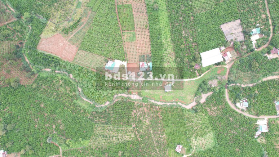 Lô đất giáp suối cách quốc lộ 20 4km phù hợp làm nhà nghỉ dưỡng, giá bán 1.785 tỷ
