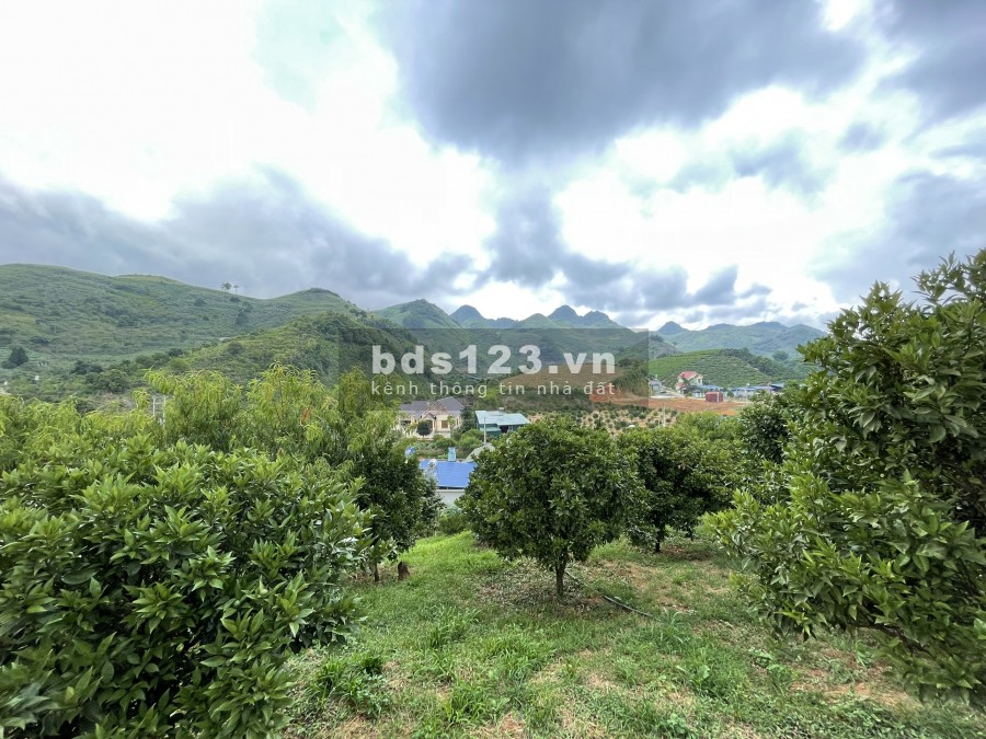 Bán ĐẤT VIEW ĐỒI tại Mộc Châu 6800m2 view 360 độ cực đẹp. Liên hệ 0822356688