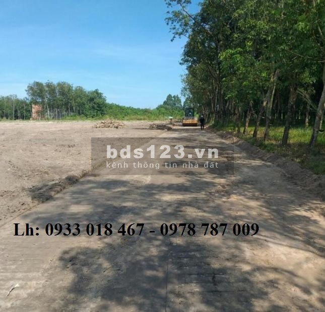 Bán đất bàu bàng giá rẻ 1,3tr/m2, sổ sẵn, 10x110m, cách ql13 100m, 0933018467 hoặc 0978787009