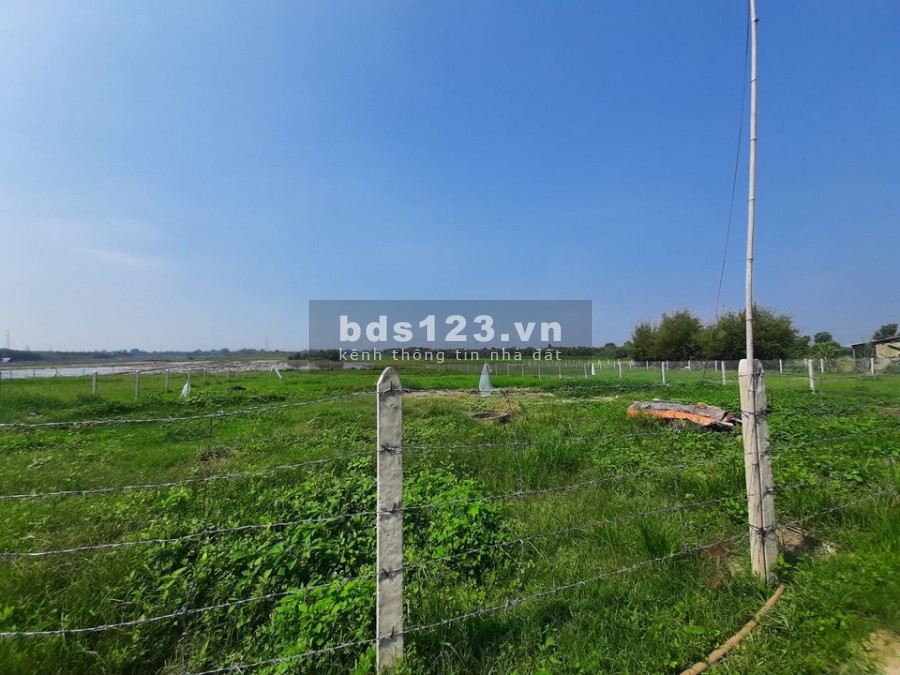Bán đất Tỉnh Lộ 7, huyện Củ Chi, sổ riêng có sẵn chính chủ, bao sang tên công chứng