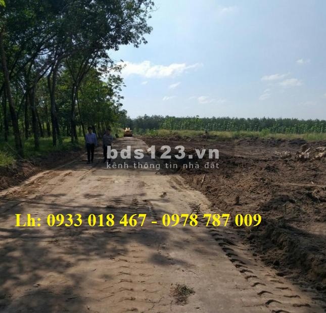 Bán đất bàu bàng giá rẻ 1,3tr/m2, sổ sẵn, 10x110m, cách ql13 100m, 0933018467 hoặc 0978787009