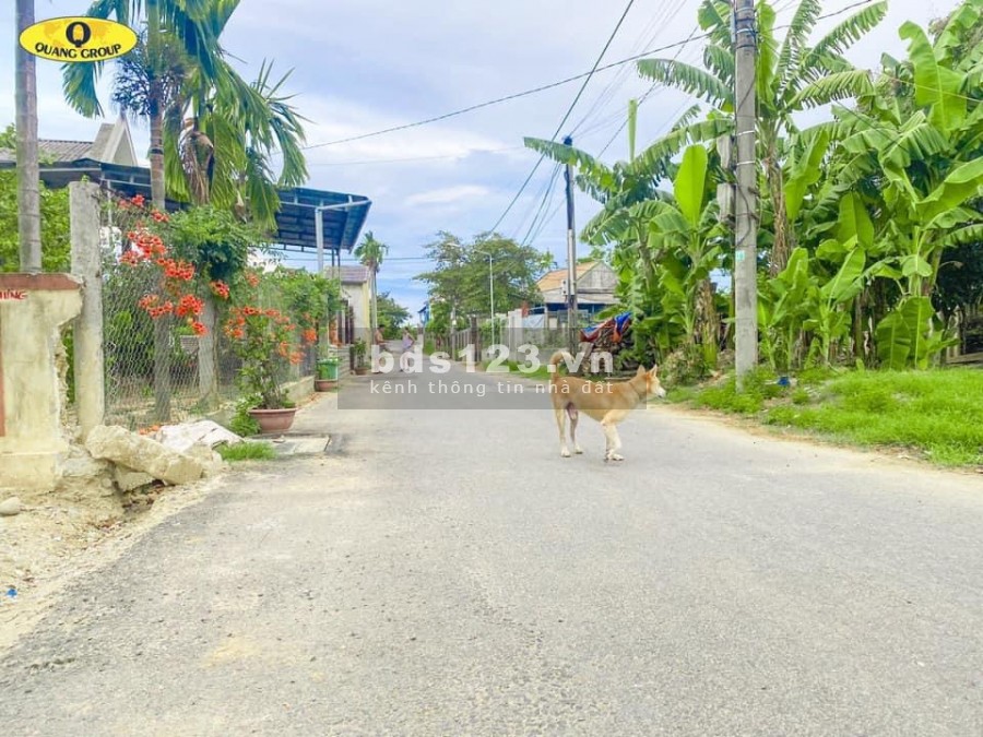 Bán gấp lô đất kiệt Cần Vương Cam Lộ giá chỉ 3xx đường xe hơi đất, sổ sẵn