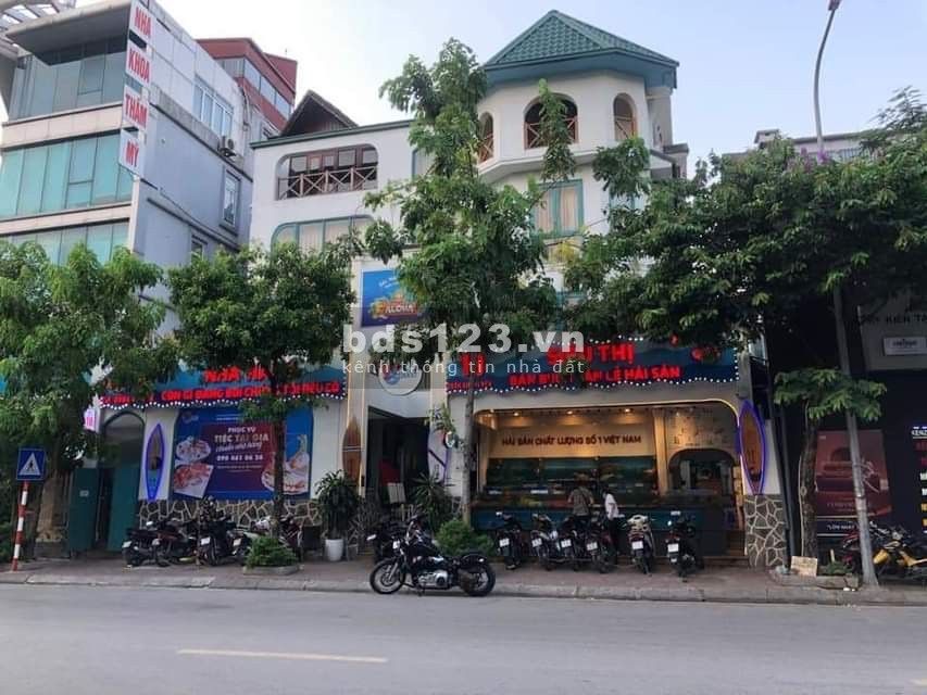 Bán nhà cũ xác định bán đất xây toà văn phòng cực đỉnh, nhà 4 tầng đúc