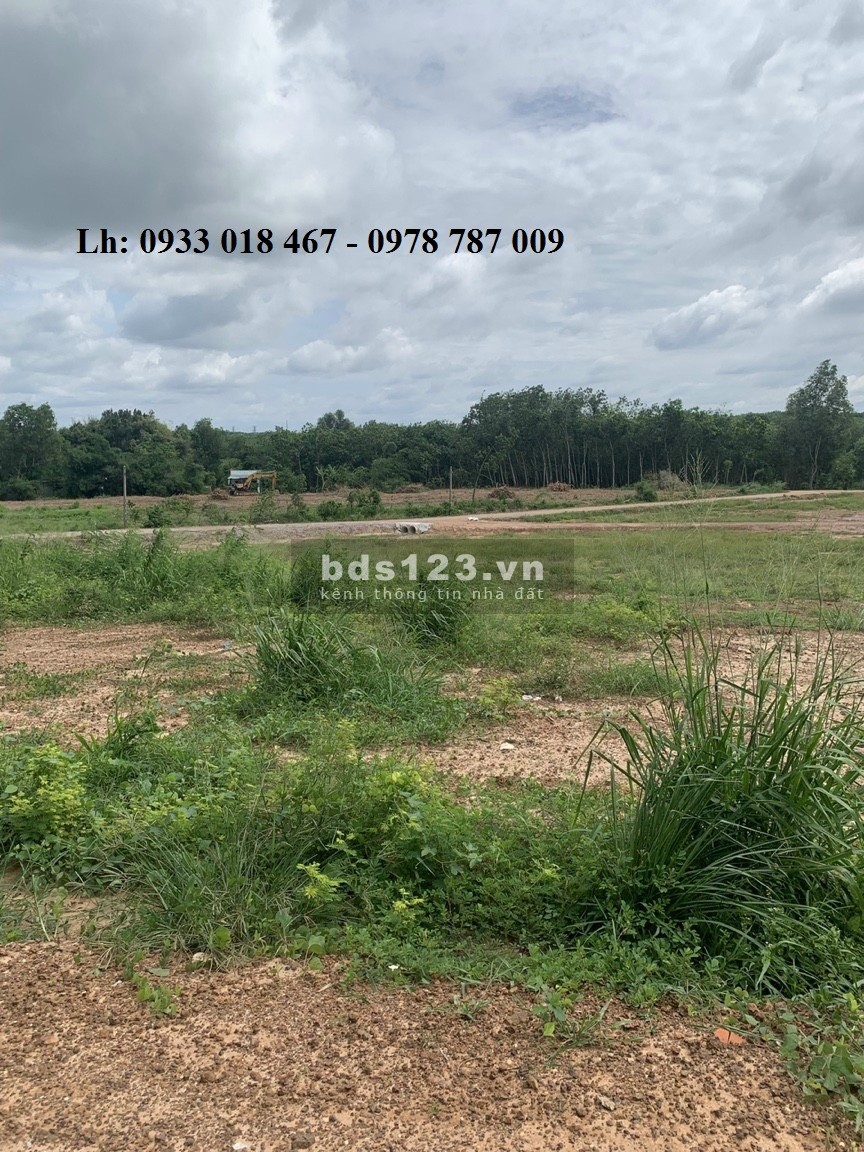Bán đất bàu bàng giá rẻ 1,3tr/m2, sổ sẵn, 10x110m, cách ql13 100m, 0933018467 hoặc 0978787009