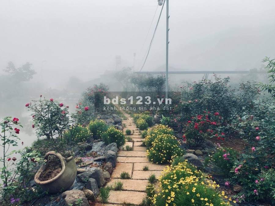 Bán 1 quả đồi tại Mộc Châu 6800m2 view 360 độ cực đẹp. Liên hệ 0822356688