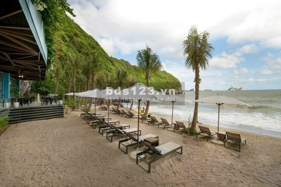 Sở hữu căn hoho Flamingo Cát Bà Resort chỉ cần vốn có từ 700 triệu, nhiều ưu đãi