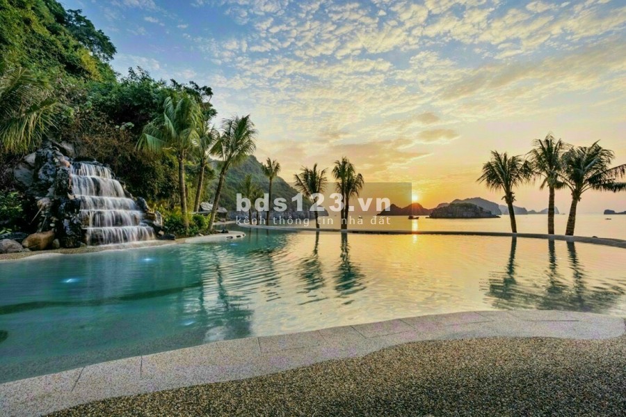 Sở hữu căn hoho Flamingo Cát Bà Resort chỉ cần vốn có từ 700 triệu, nhiều ưu đãi