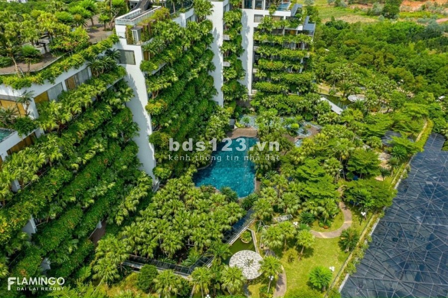 Sở hữu căn hoho Flamingo Cát Bà Resort chỉ cần vốn có từ 700 triệu, nhiều ưu đãi