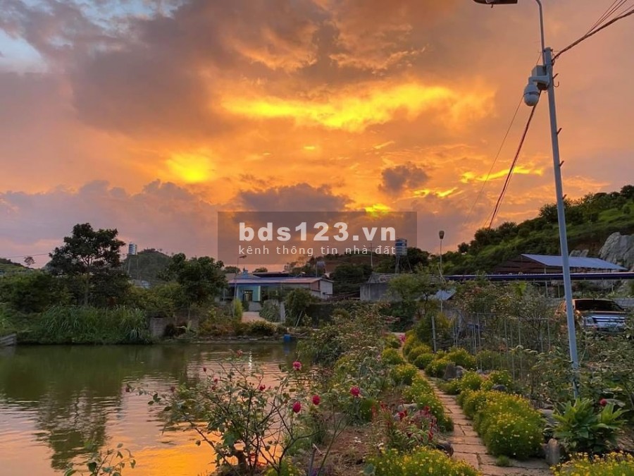 Bán nguyên đồi tại Mộc Châu 6800m2 view 360 độ cực đẹp. Liên hệ 0822356688