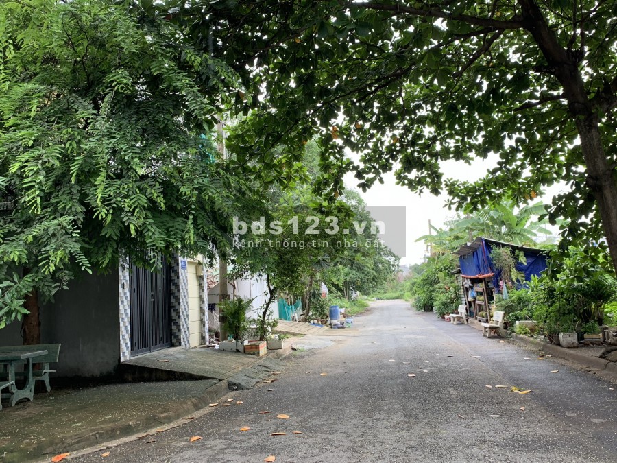 Chuyên mua bán đất nền dự cty Đông Dương, Phú Hữu, Bưng Ông Thoàn, Quận 9, giá rẻ tháng 7/2021