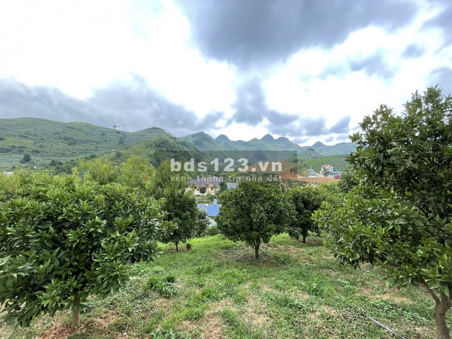 Bán 1 quả đồi tại Mộc Châu 6800m2 view 360 độ cực đẹp. Liên hệ 0822356688