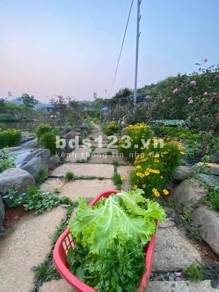 Bán ĐẤT VIEW ĐỒI tại Mộc Châu 6800m2 view 360 độ cực đẹp. Liên hệ 0822356688