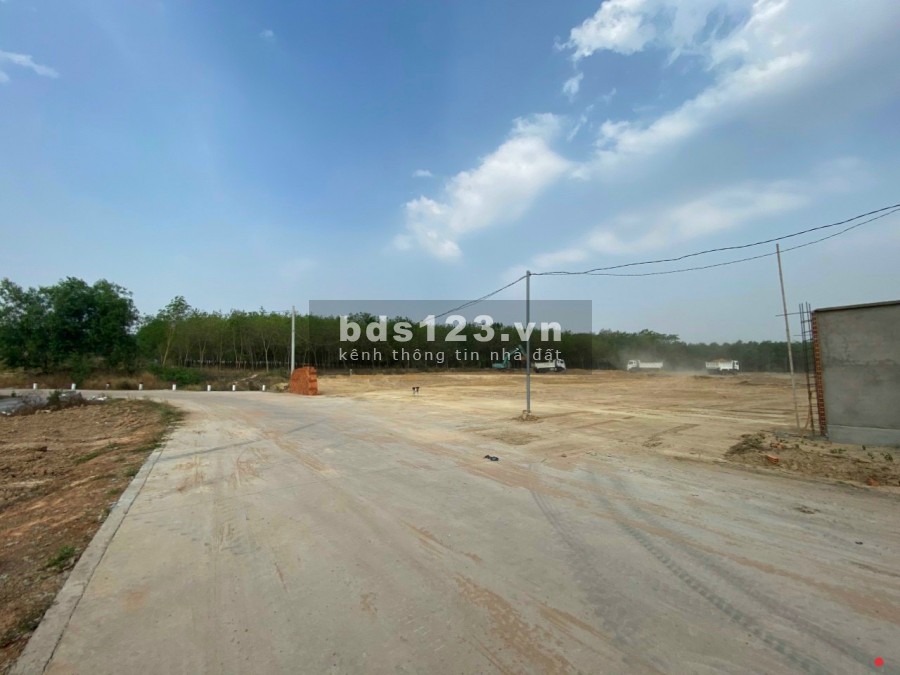 Đất Phú Chánh đa diện tích, nở hậu. Hơn 3,tr/m2 đường 12m thông, dân cư đông. Sổ hồng cầm tay