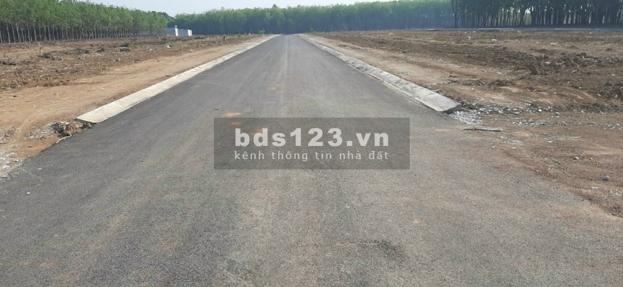 Đất chính chủ cần bán gấp 479 triệu, sổ hồng riêng, bàn giao công chứng ngay