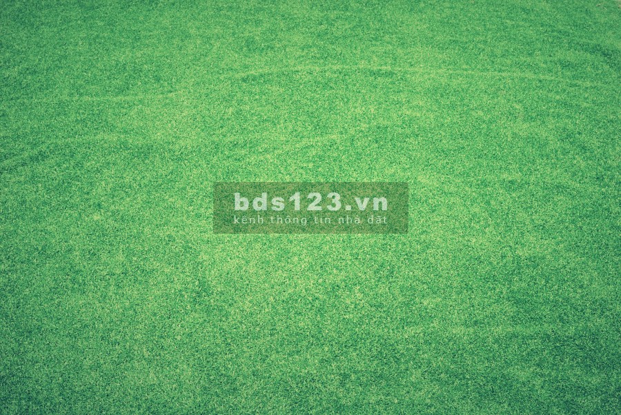 Lô 2 sau mặt đường 6 dt hơn 480 m (300m thổ cư 182m2 trồng cây lâu năm) tại Đông Sơn, Chương Mỹ