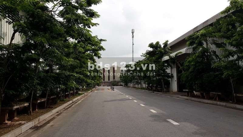 Bán đất 7000m2 trong KCN Thịnh Phát, Tỉnh Lộ 830, Bến Lức, giá bán 14 tỷ, thương lượng