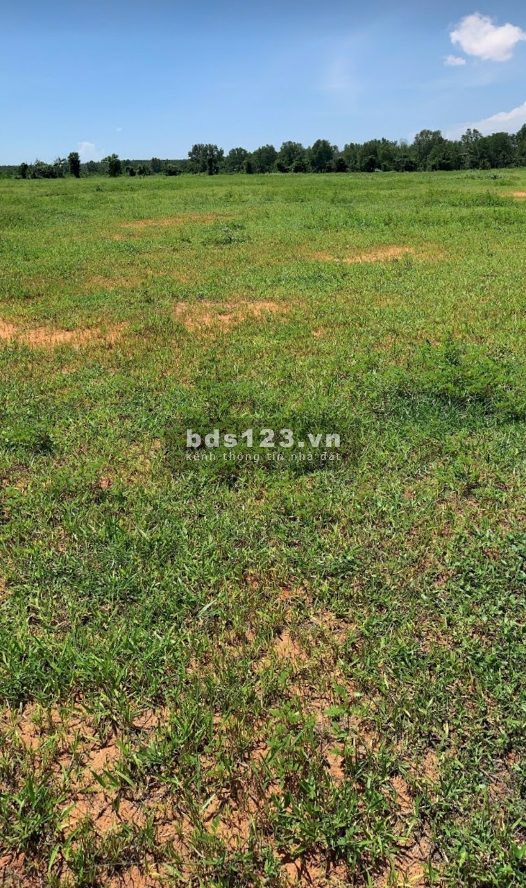 Bán 10,000m2 đất nông nghiệp hoà thắng giá mùa dịch 1,3 tỷ tặng đến 10 chỉ Lh 0938677909