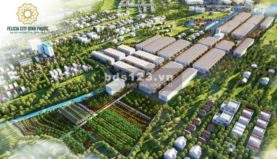 Ban gấp đất mặt tiền Phú Riềng, Bình Phước giá chuẩn đầu tư chỉ 380tr/100m2