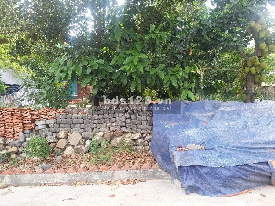 Bác gái có lô đất nền trong sân vườn Cái Dăm mốn bán chỉ hơn 1 tỷ LH 0905221998