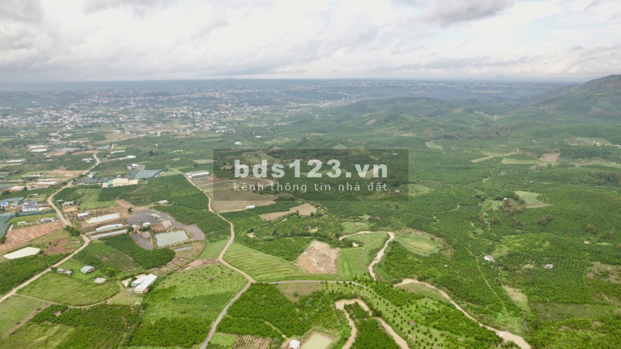 Lô đất mặt tiền đường thành phố Bảo Lộc, diện tích 15000m2, giá tốt, đường lớn