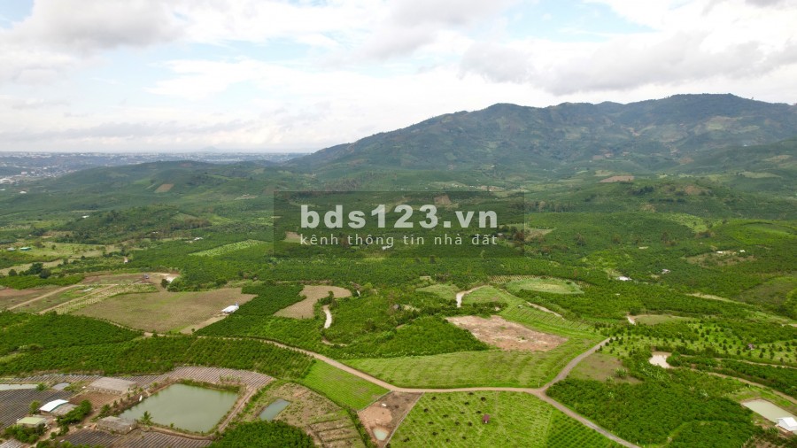 Lô đất mặt tiền đường thành phố Bảo Lộc, diện tích 15000m2, giá tốt, đường lớn