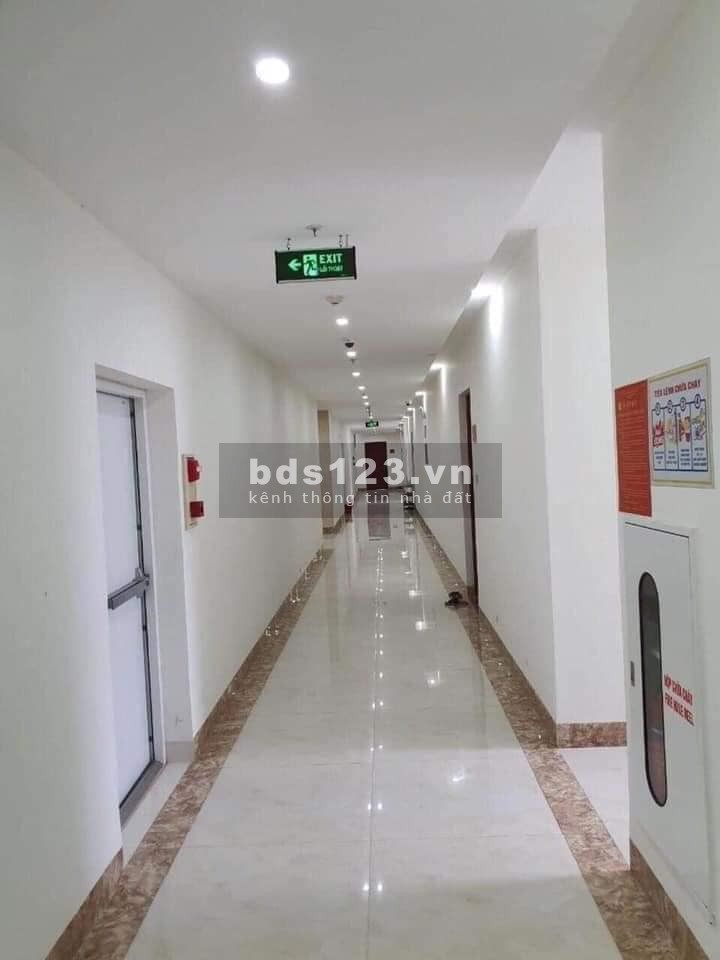 Cần bán căn hộ Louis Apartment Thanh Hoá - Tầng 15 view bình minh giá rẻ